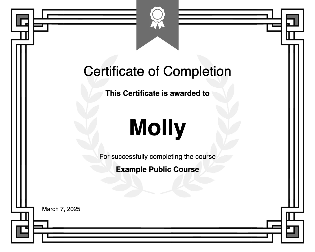Example Public Course Certificate
